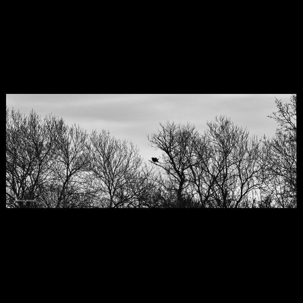 PHOTO84, CLUB, 84 , LUBERON